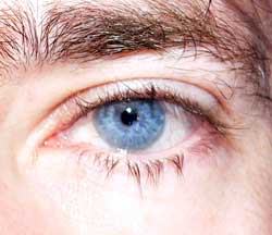 Profil de Wayne, 55 ans, Échangiste à Heispelt