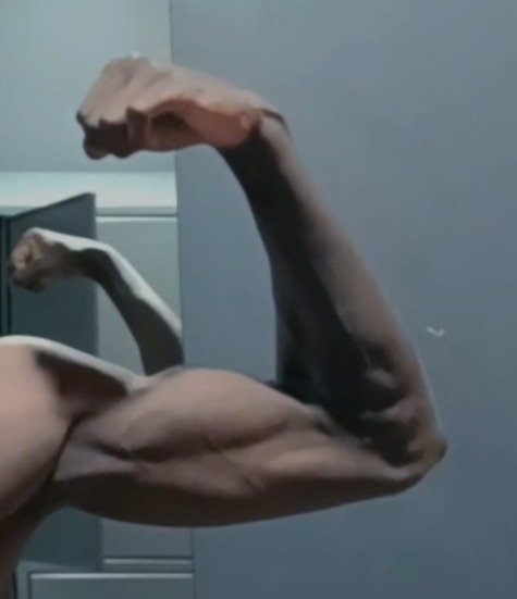 Profil de Abderahmen, 21 ans, Échangiste à Hoscheid